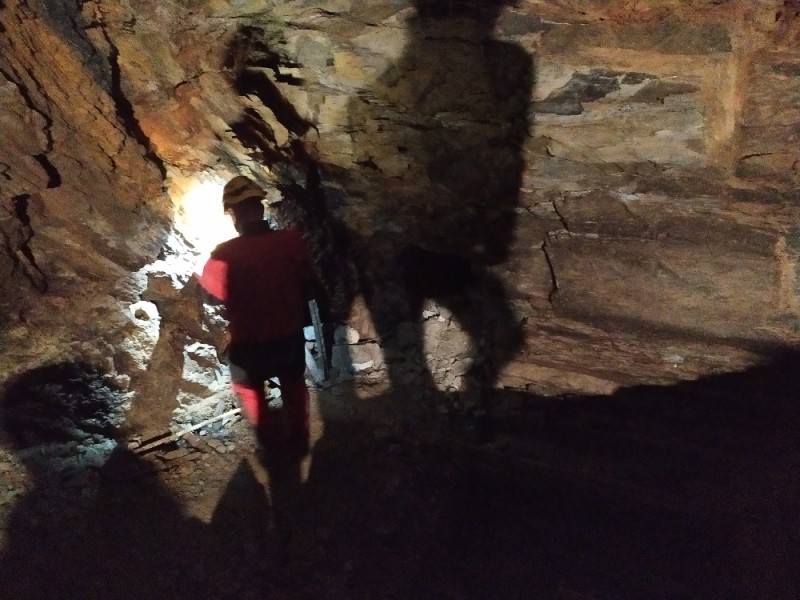 - 65 - Dole v dole.jpg